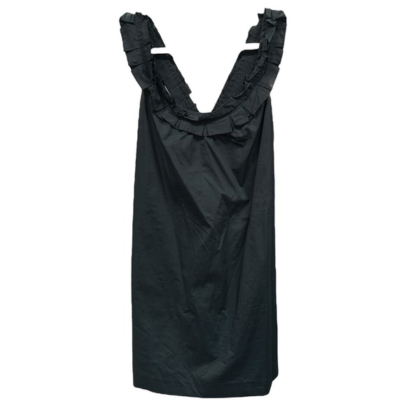 fei Dresses & Skirts - Fei Anthropologie Carambola Ruffle Pleated Shift
Mini Sleeveless Dress‎  Sz 4